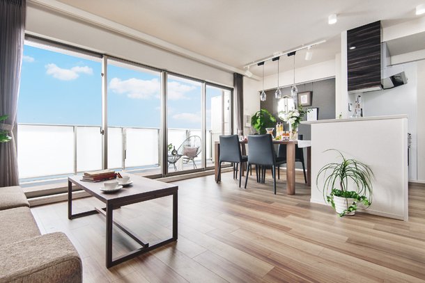 Living Dining Room