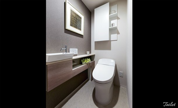 Toilet