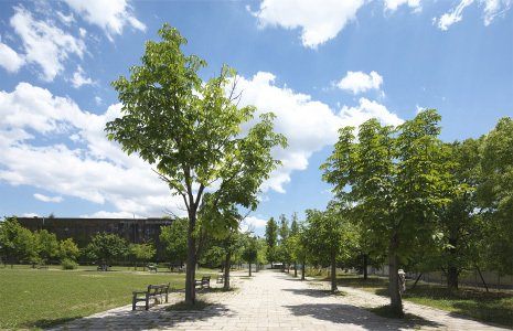 東千田公園