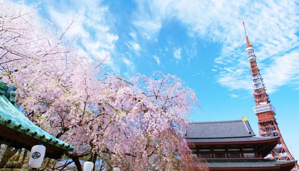増上寺