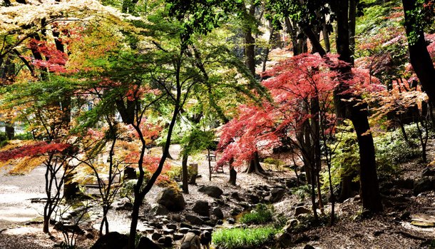 芝公園
