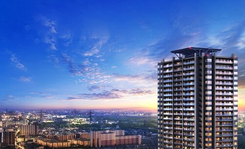 TOWER ＆ FOREST PROJECT