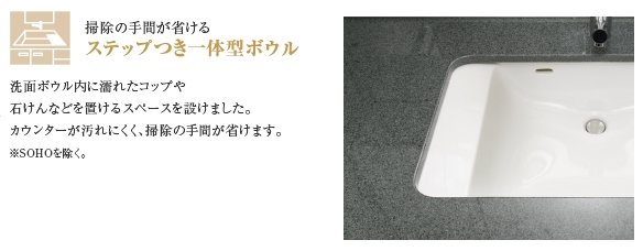 ステップつき一体型ボウル