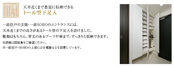 トール型下足入