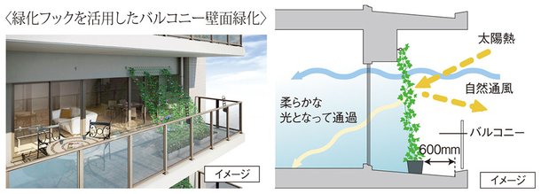 バルコニーの壁面に緑化対策