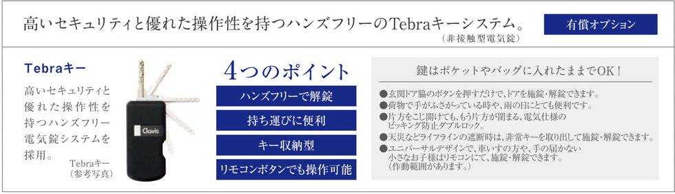 Tebraキー