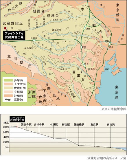 武蔵野台地