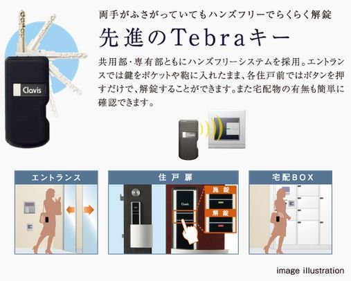 両手がふさがっていてもハンズフリーでらくらく解錠
先進のTebraキー