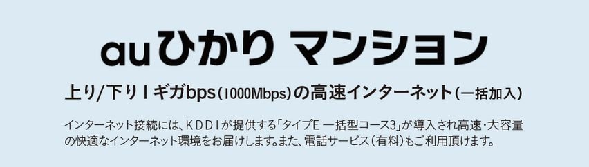 インターネットシステム