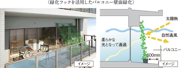 バルコニーの壁面に緑化対策