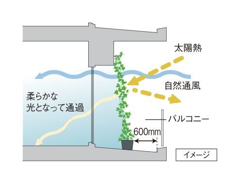 バルコニーの壁面に緑化対策