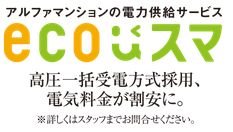 お得な電力供給サービス
エコスマ