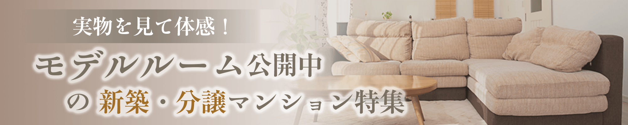 モデルルーム公開中