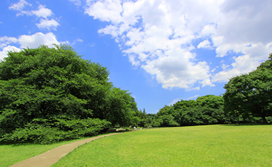 ãç §å¬å|ãçåçæå°çµæ