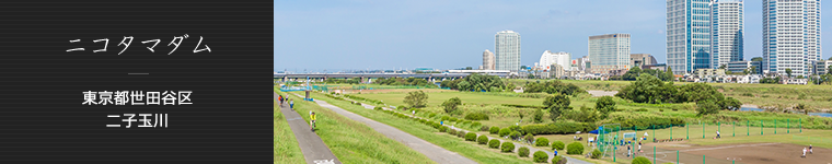 ニコタマダム 東京都世田谷区 二子玉川