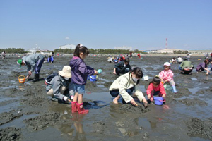 ふなばし三番瀬海浜公園