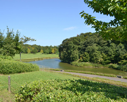 北総花の丘公園