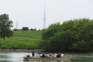 矢切の渡し