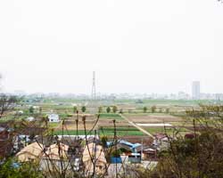 野菊の墓文学碑