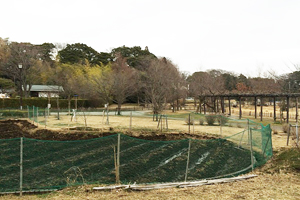 実籾（みもみ）本郷公園