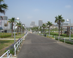 浦安市総合公園