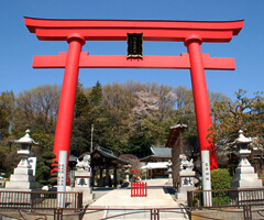 琴平神社