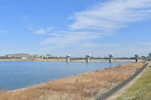 多摩川緑地