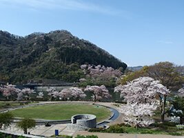 津久井湖城山公園