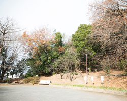 市ケ尾遺跡公園