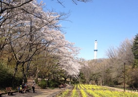 横浜市児童遊園地