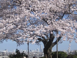 横浜水道記念館