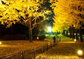 県立保土ケ谷公園