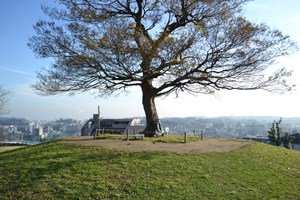 清水ケ丘公園