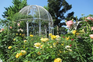 こども植物園