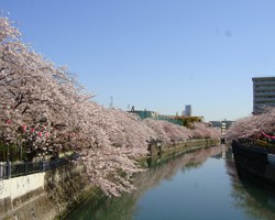 大岡川プロムナード