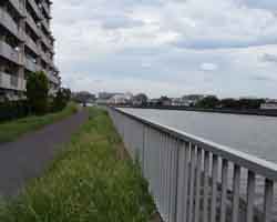 鶴見川遊歩道