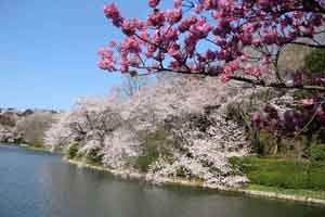 県立三ツ池公園