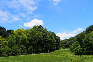 県立座間谷戸山公園