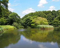 県立座間谷戸山公園