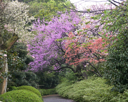 埼玉県花と緑の振興センター