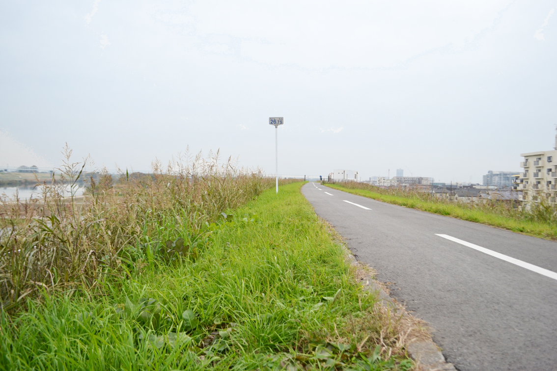 江戸川サイクリングロード