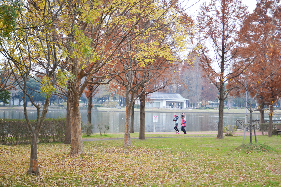 みさと公園