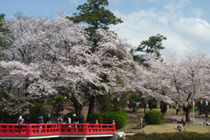 岩槻区