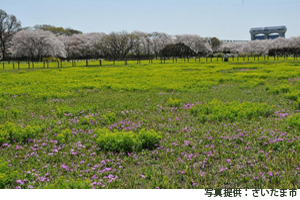 桜区