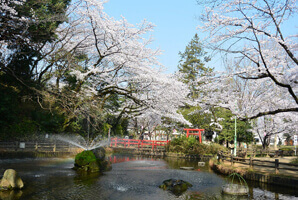 与野公園