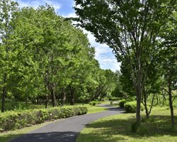 秋葉の森総合公園