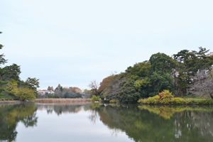 大宮公園