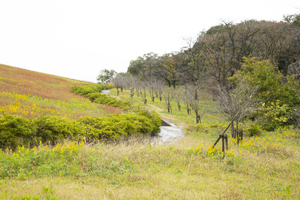 県立狭山自然公園