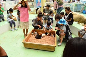 自然動物園