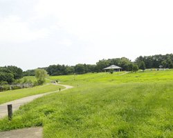 葛西臨海公園